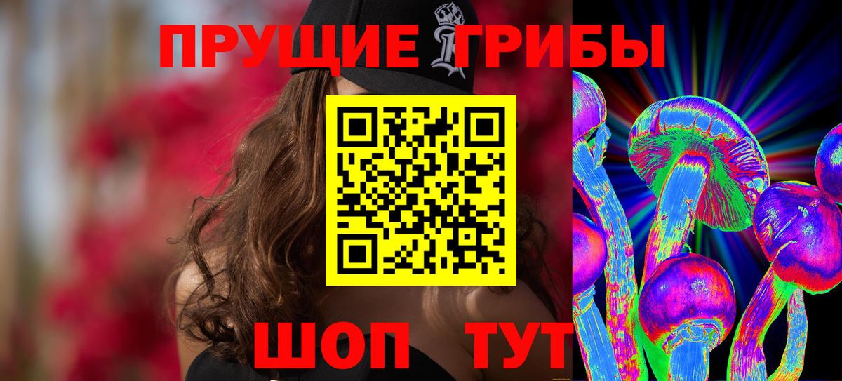 Ефремов  купить закладку  Вход с VPN  Псилоцибиновые грибы Magic Shrooms 